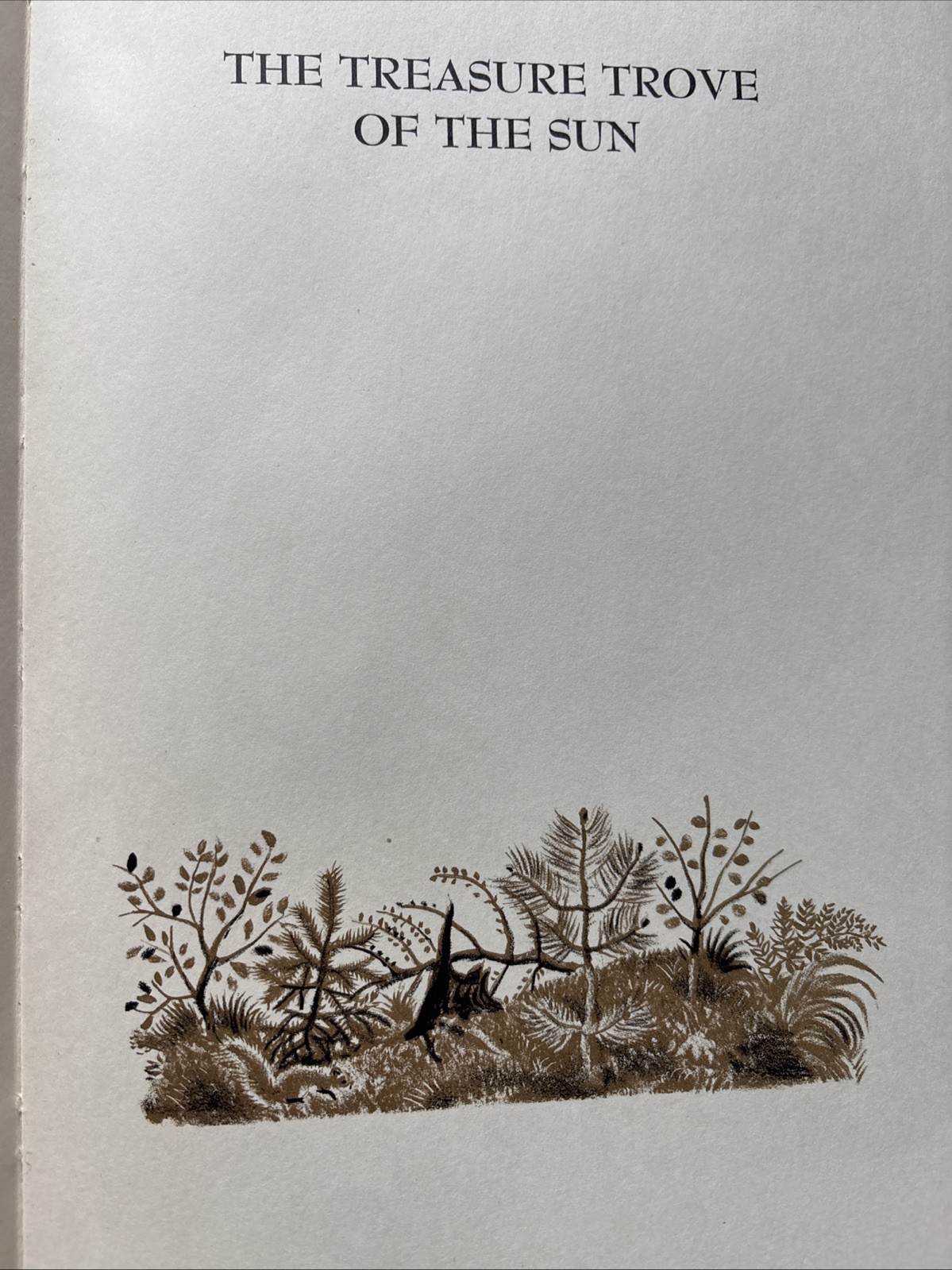 Children’s Book Treasure Trove of the Sun Prishvin 1952 Viking Press Rojankovsky