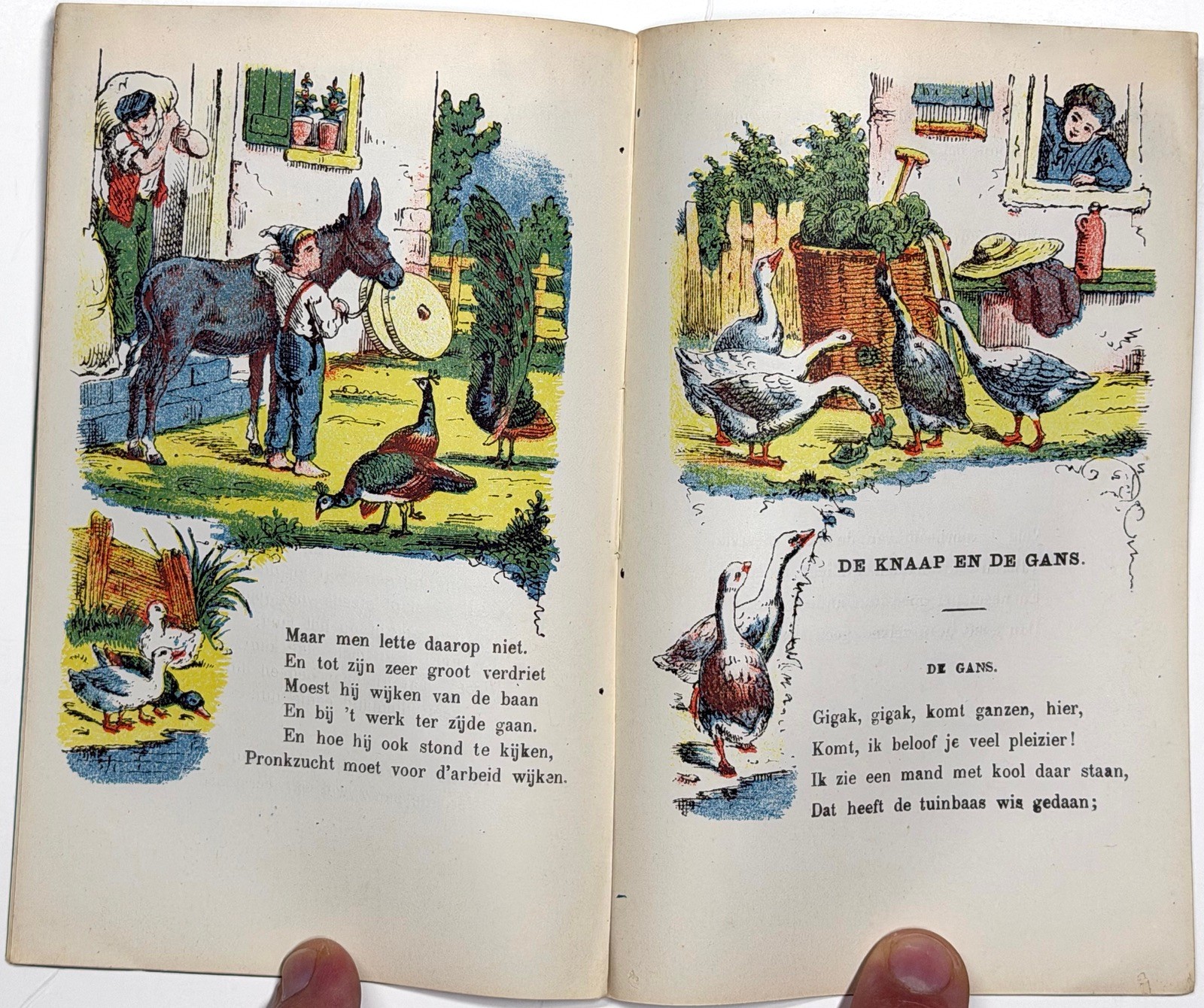 1870 ONZE HUIS EN LANDDIEREN DUTCH CHILDRENS BOOKLET NOOTHOVEN GOOR COLOR PLATES