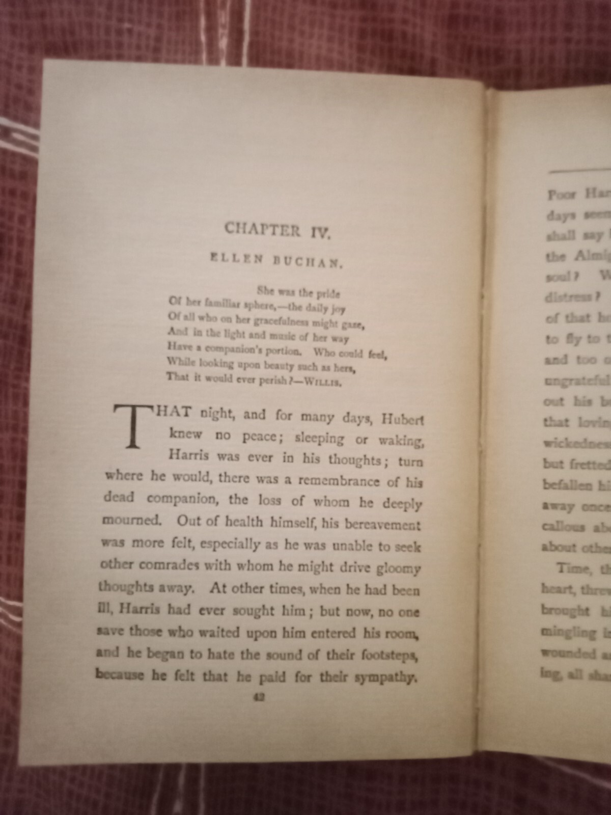 The Torn Bible Or Hubert’s Best Friend By Alice Somerton Decorative Antique Book