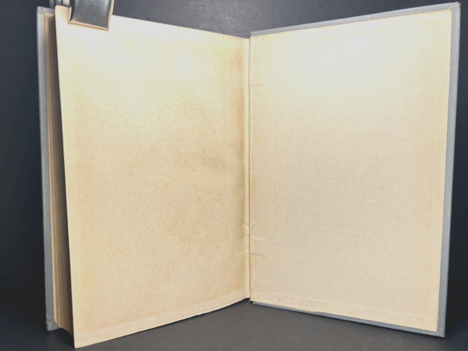Antique Christian Novel BEAUTIFUL JOE AN AUTOBIOGRAPHY OF A DOG Fine Binding1904