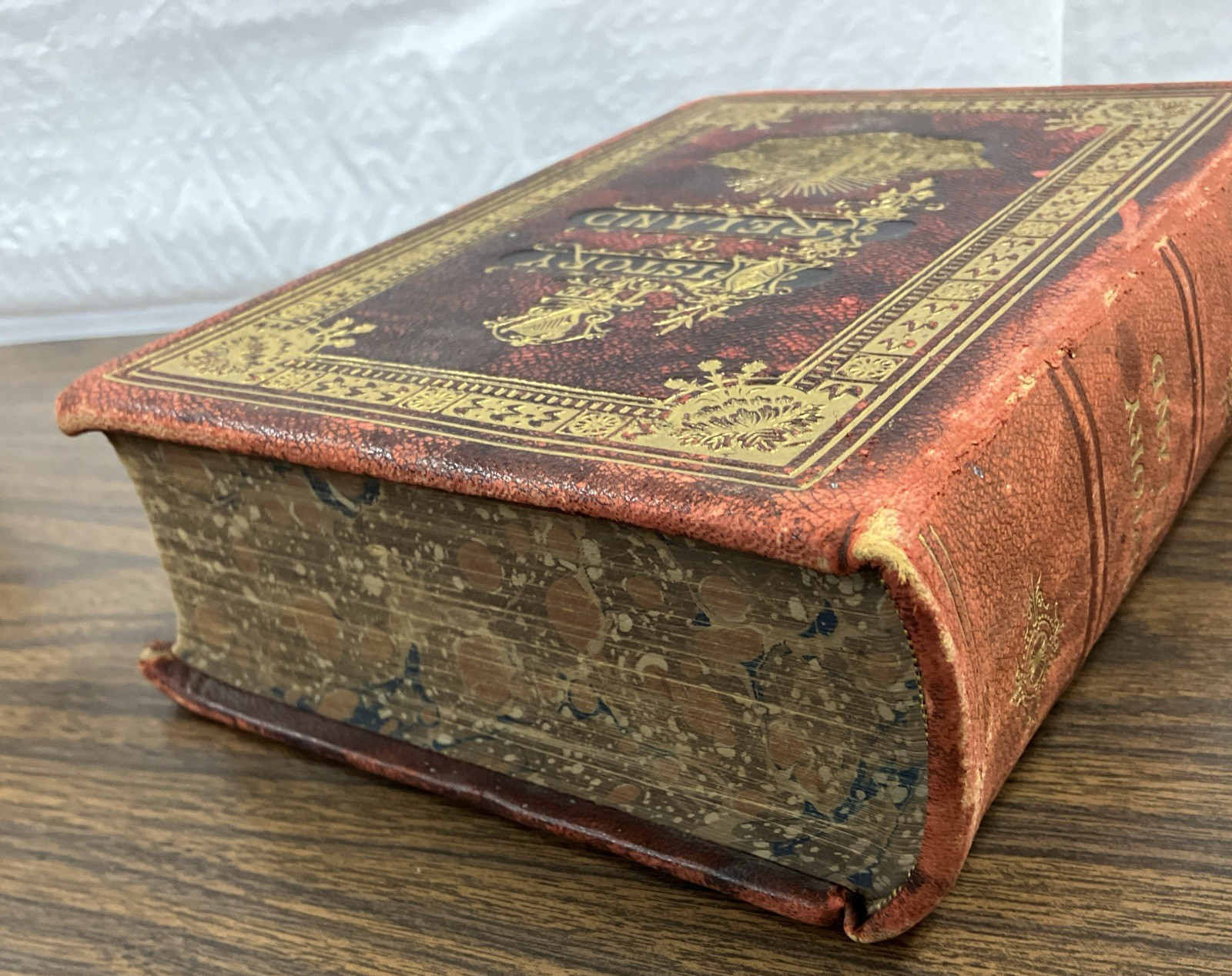 The History Of Ireland by Martin Haverty – 1885 – Embossed Leather