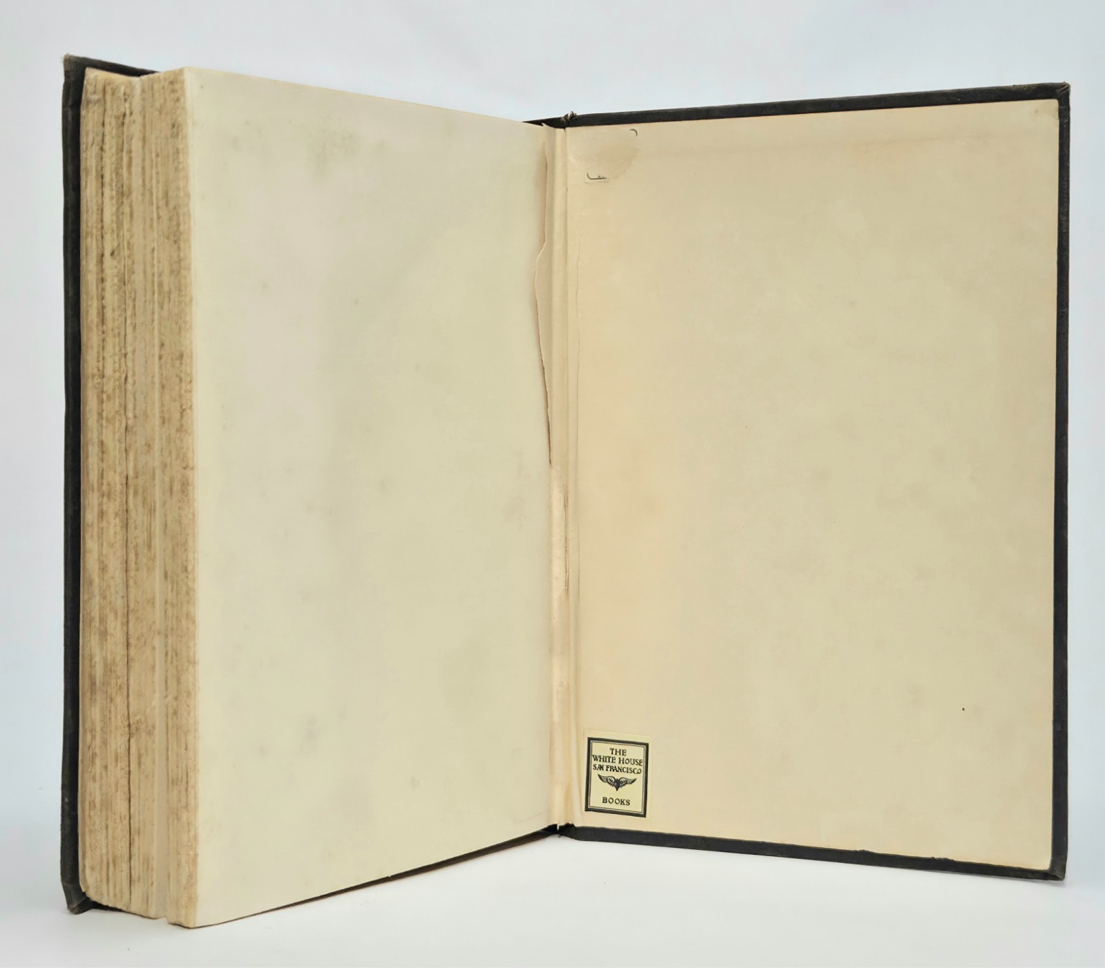 Appassionata Fannie Hurst 1926 First Edition First Printing Hardcover