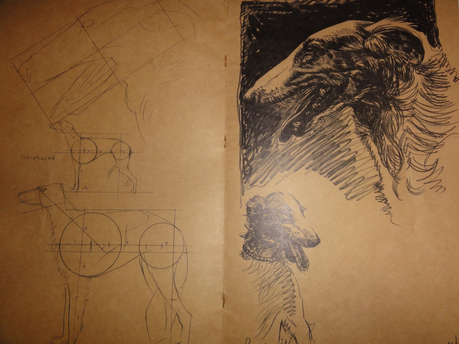 VERY OLD “HOW TO DRAW ANIMALS” BY WALTER T FOSTER, CIRCA UNKNOWN!