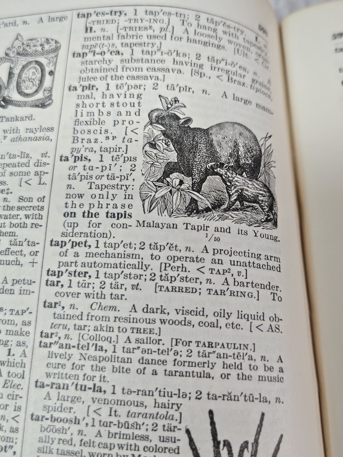 1925 Funk & Wagnalls Comprehensive Standard Dictionary Thumb Indexed Illustrated