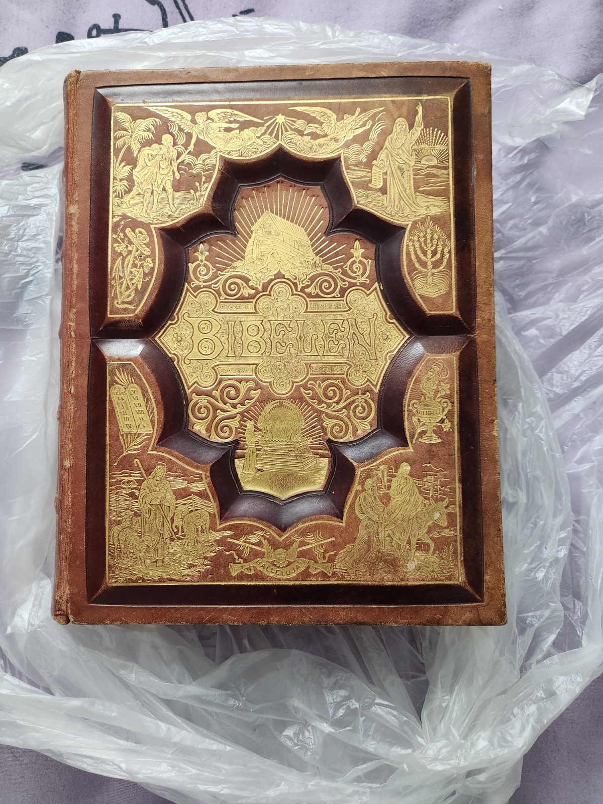 A. J. Holman & Co. 1890 Danish Leather Illustrated Bible Gustave Doré