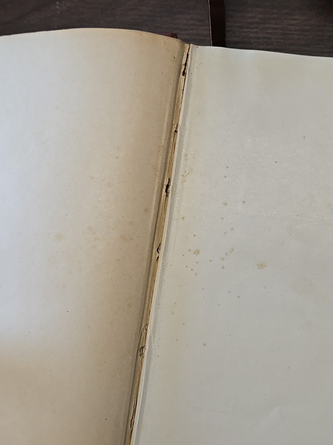 John Merrick A Biographical Sketch by R.Mc Cants Andrew’s Hardback 1920