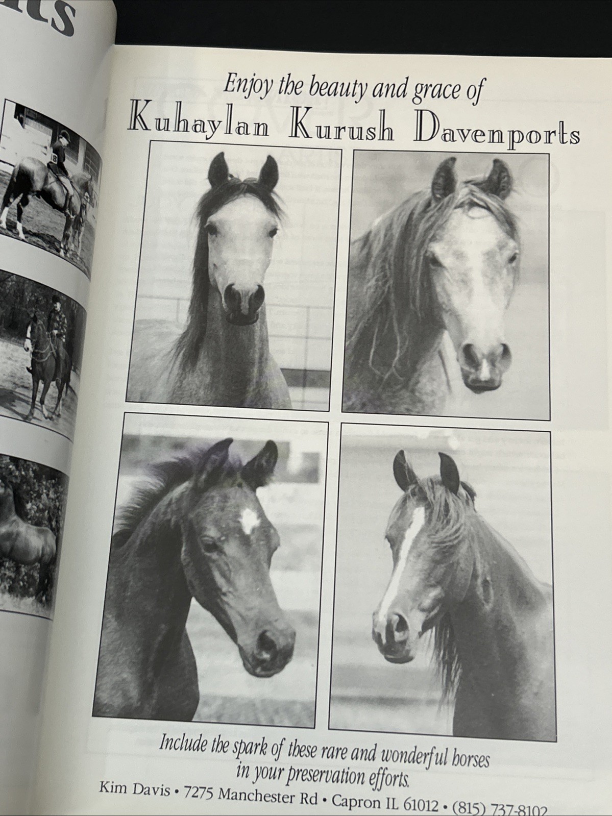 Arabian Visions Magazine Horse March – April 1997 Vintage