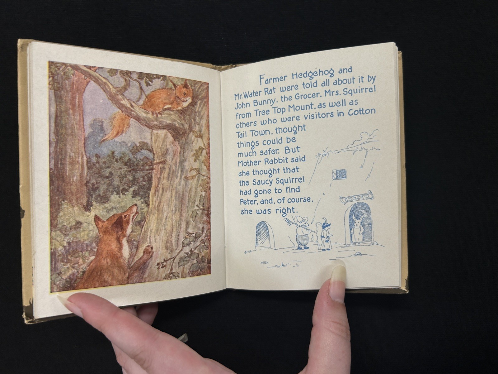 A New Story of PETER RABBIT Whitman 1926 HC Allan Wright Samuel Lowe