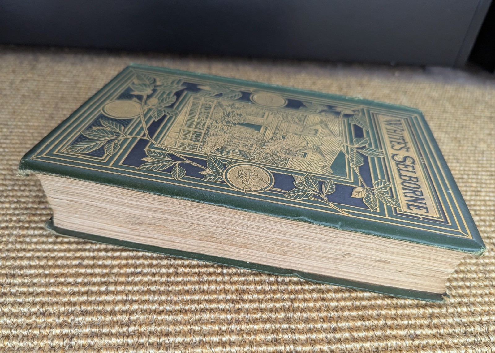 Gilbert White Natural History Antiquities Selborne, Delamotte 1875 Antique Book