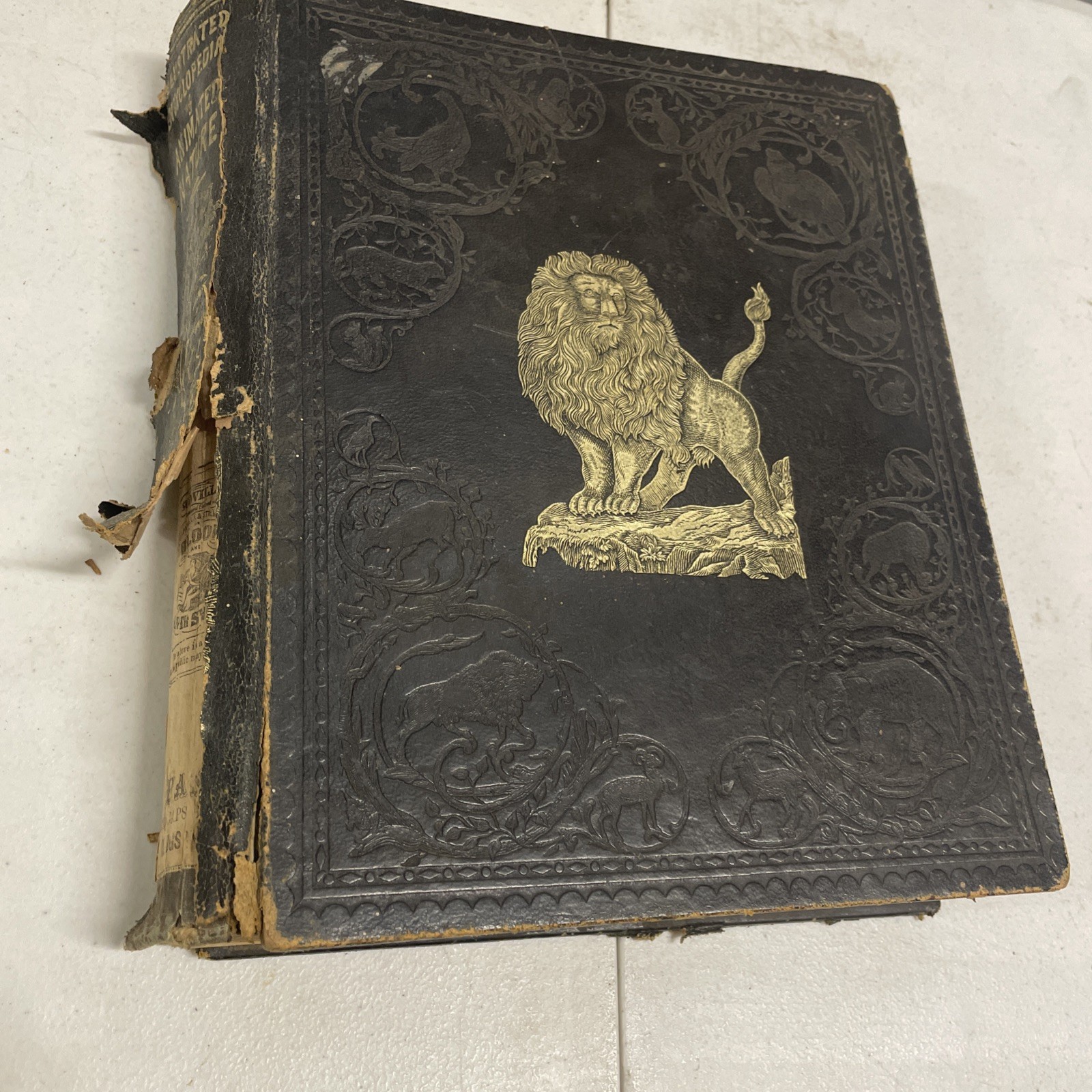 RARE 1855 JOHN FROST BOOK, “GRAND ILLUSTRATED ENCYCLOPEDIA OF ANIMATED NATURE”