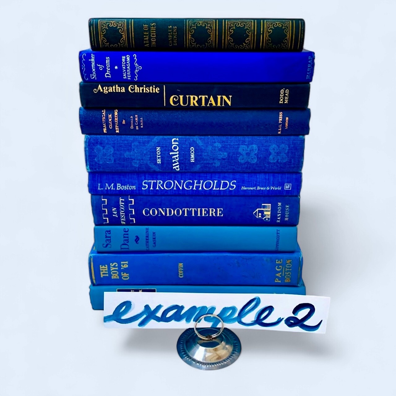 Random Lot 10 Vintage Books SHADES of BLUE Instant Library Staging Decor Color