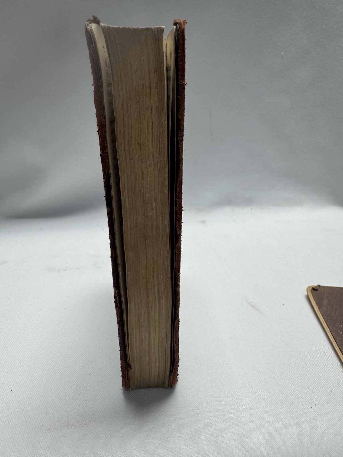 Antique Charles Dickens Book Lot Hard Times & David Copperfield Thomas Nelson