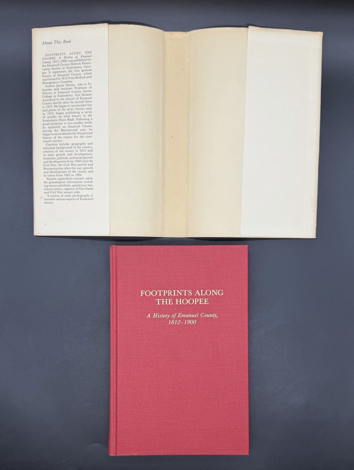 Footprints Along The Hoopee: Emanuel County GA History 1812-1900 ~ 1st Ed. HCDJ