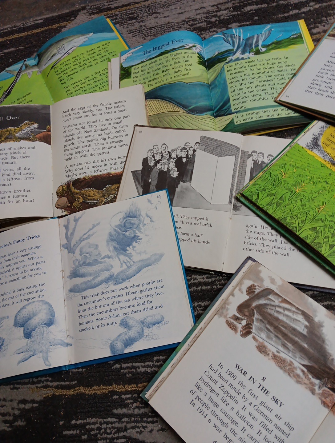 Animals Do The Strangest Things Published 1964-1970 RandomHouse 7 Books ClubEd