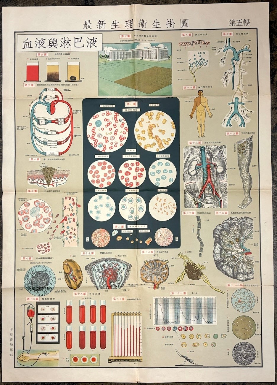 Set of 6 large color 1950s-60s Chinese health physiology & hygiene posters 1960