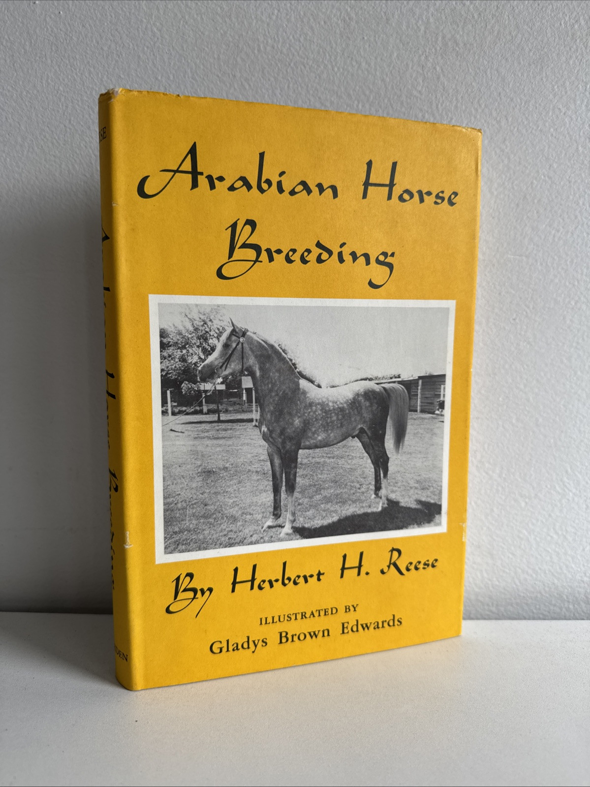 Arabian Horse Breeding by Herbert H. Reese Ill by Gladys Brown Edwards 6th. Ed.
