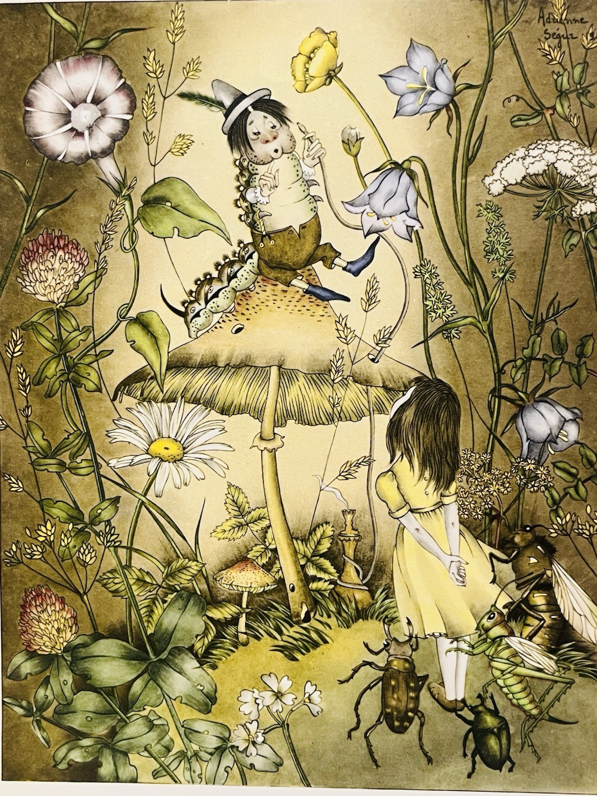 1959 Alicia Pais Maravillas Lewis Carroll Adrienne Segur Alice In Wonderland