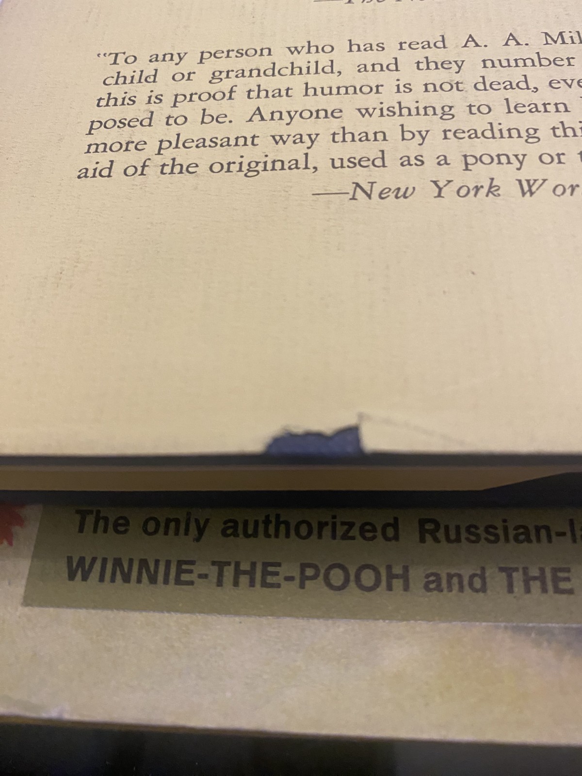 WINNIE ILLE PU (Winnie the Pooh) 1960-61 – Latin Version HCDJ 1st Edition