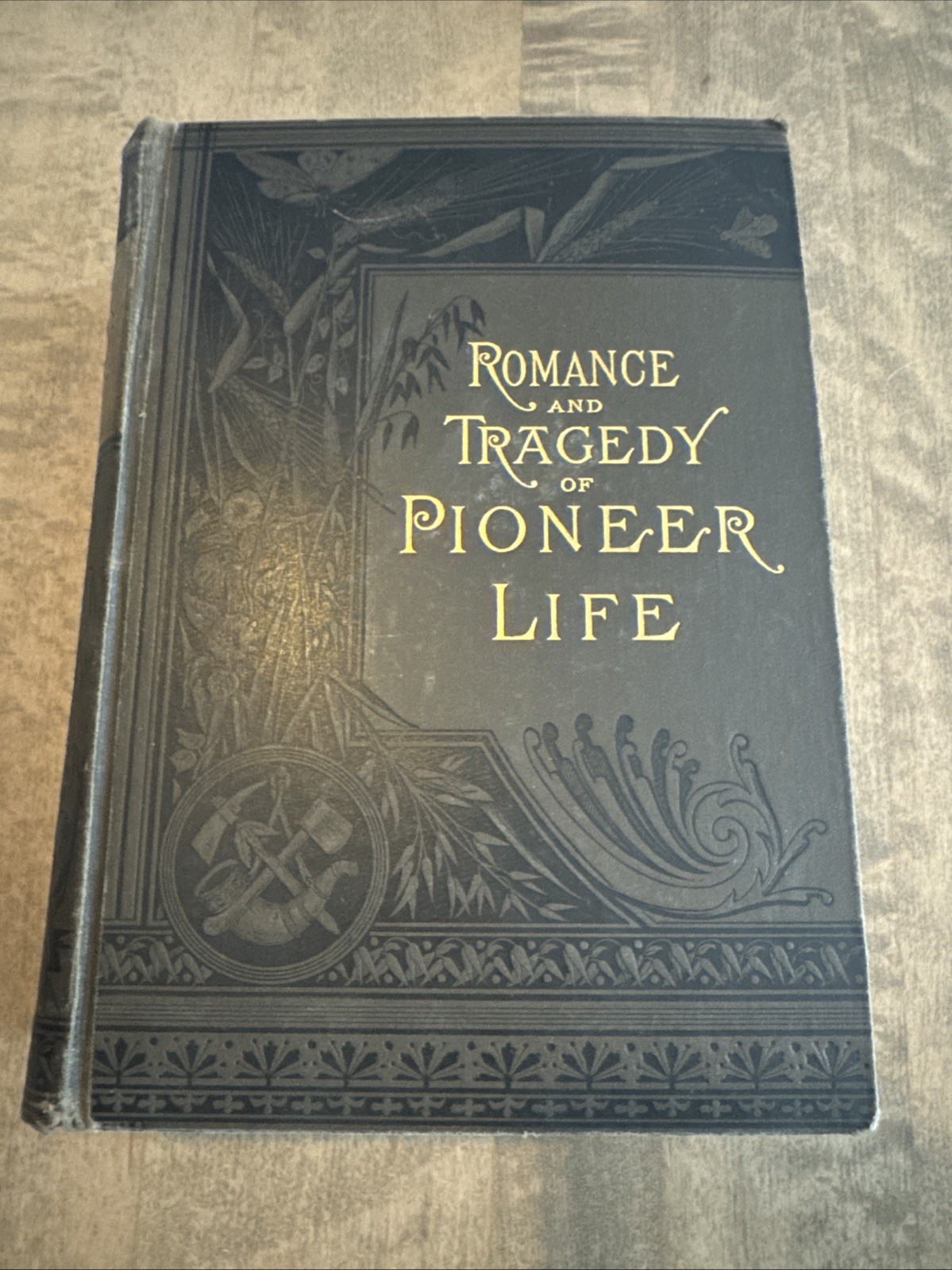 The Romance And Tragedy Of Pioneer Life by Augustus Lynch Mason 1883