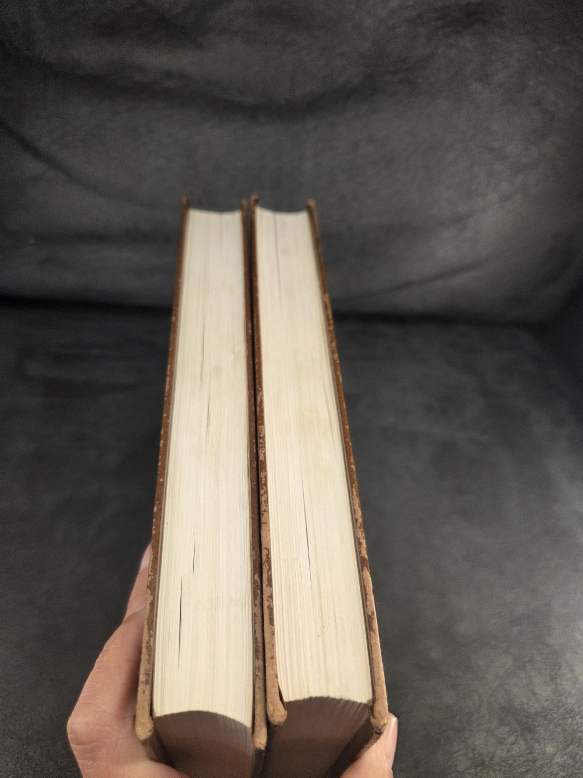 Vintage Funk & Wagnalls Standard Desk Dictionary 1983 2 Volume Set Books A-Z HC
