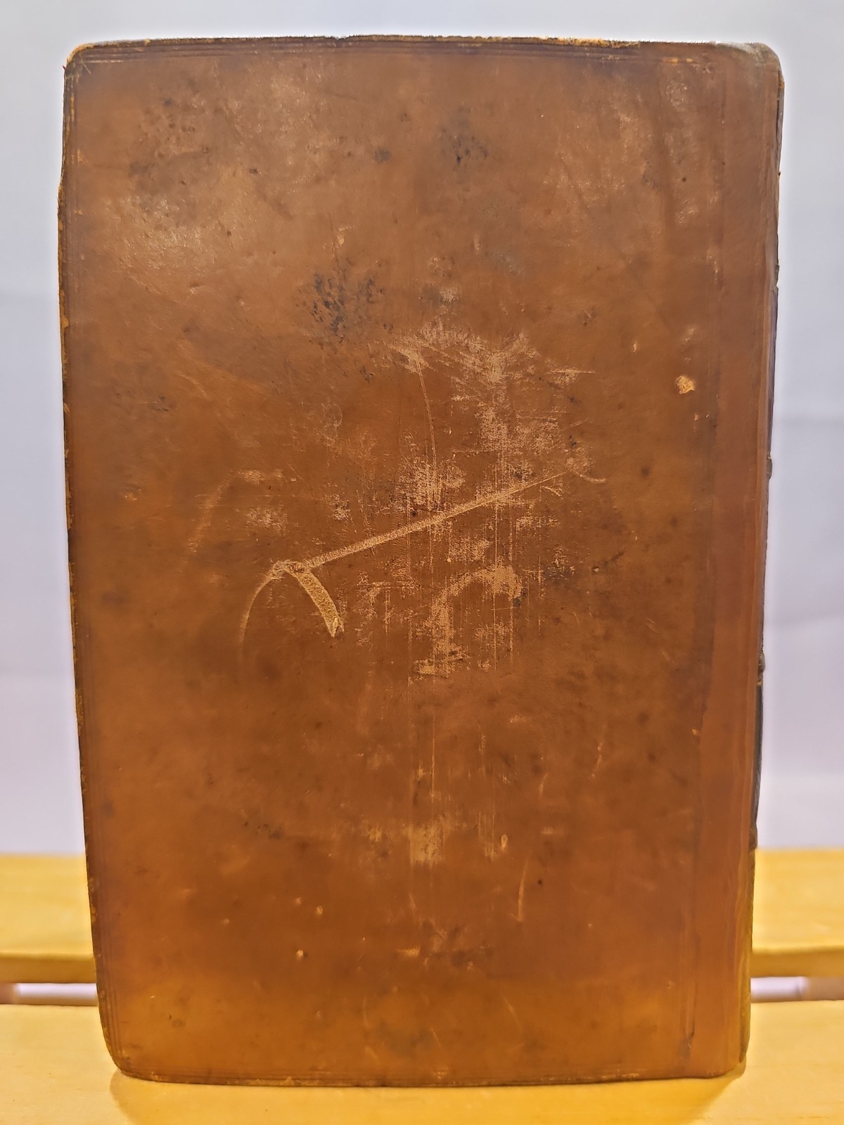 Leather Arabian Nights Entertainments Vol V, VI Lond 1811 By Jonathan Scott