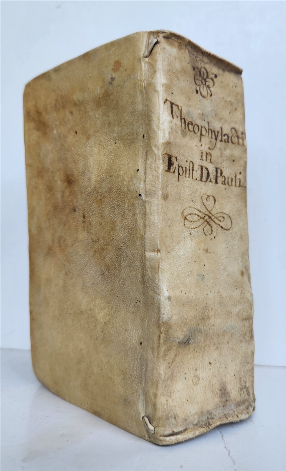 1537 Theophylactus de Achrida ANTIQUE In omnes D. Pauli epistolas enarrationes