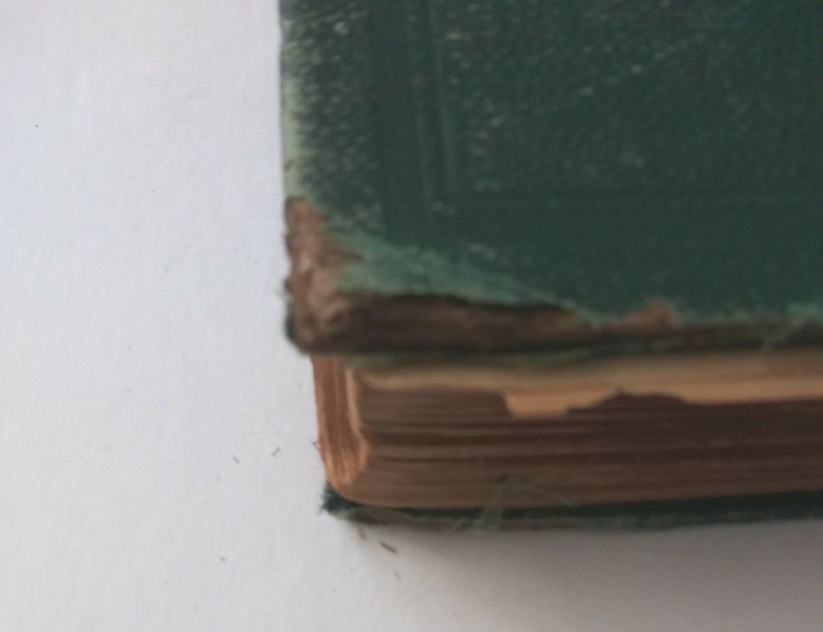Antique John Milton’s Paradise Lost Illustrated By Gustave Dore Dated 1885