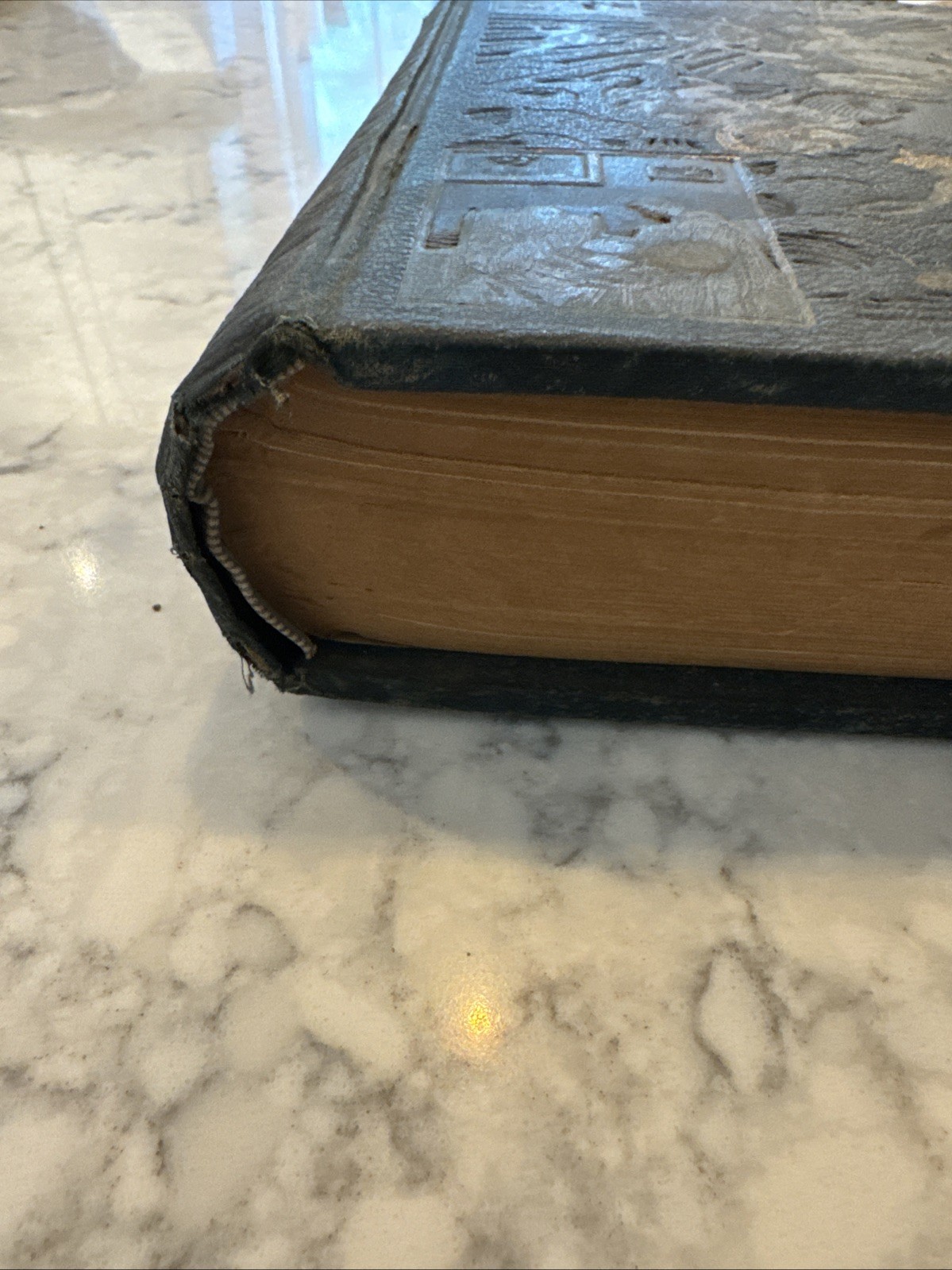 Antique 1880s GAY’S CIRCLE OF KNOWLEDGE Illustrated Victorian Leather Cloth Book