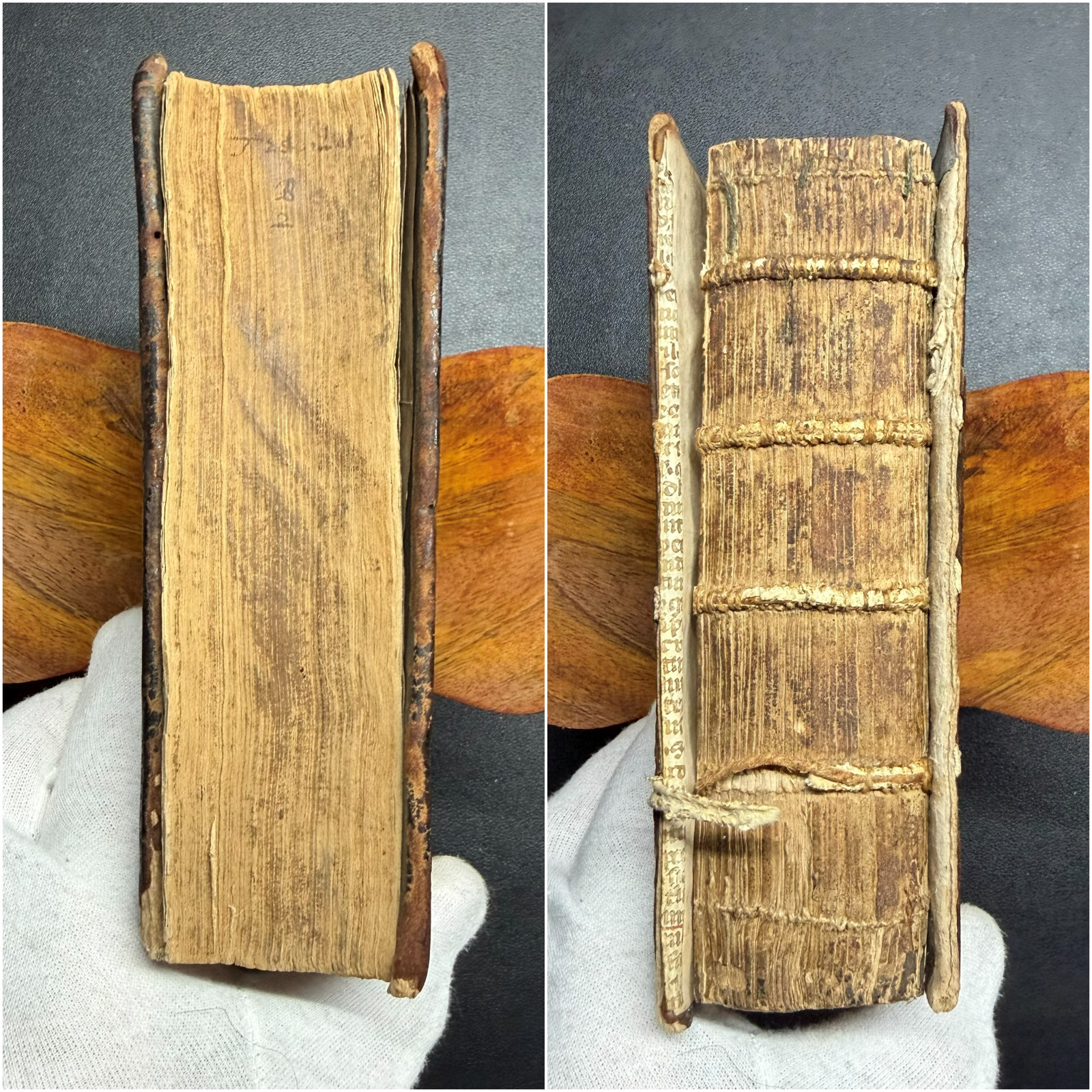 1567 ✝️ Erasmus Novi Testamenti, Latin NT, 100+ Woodcuts, Rihel