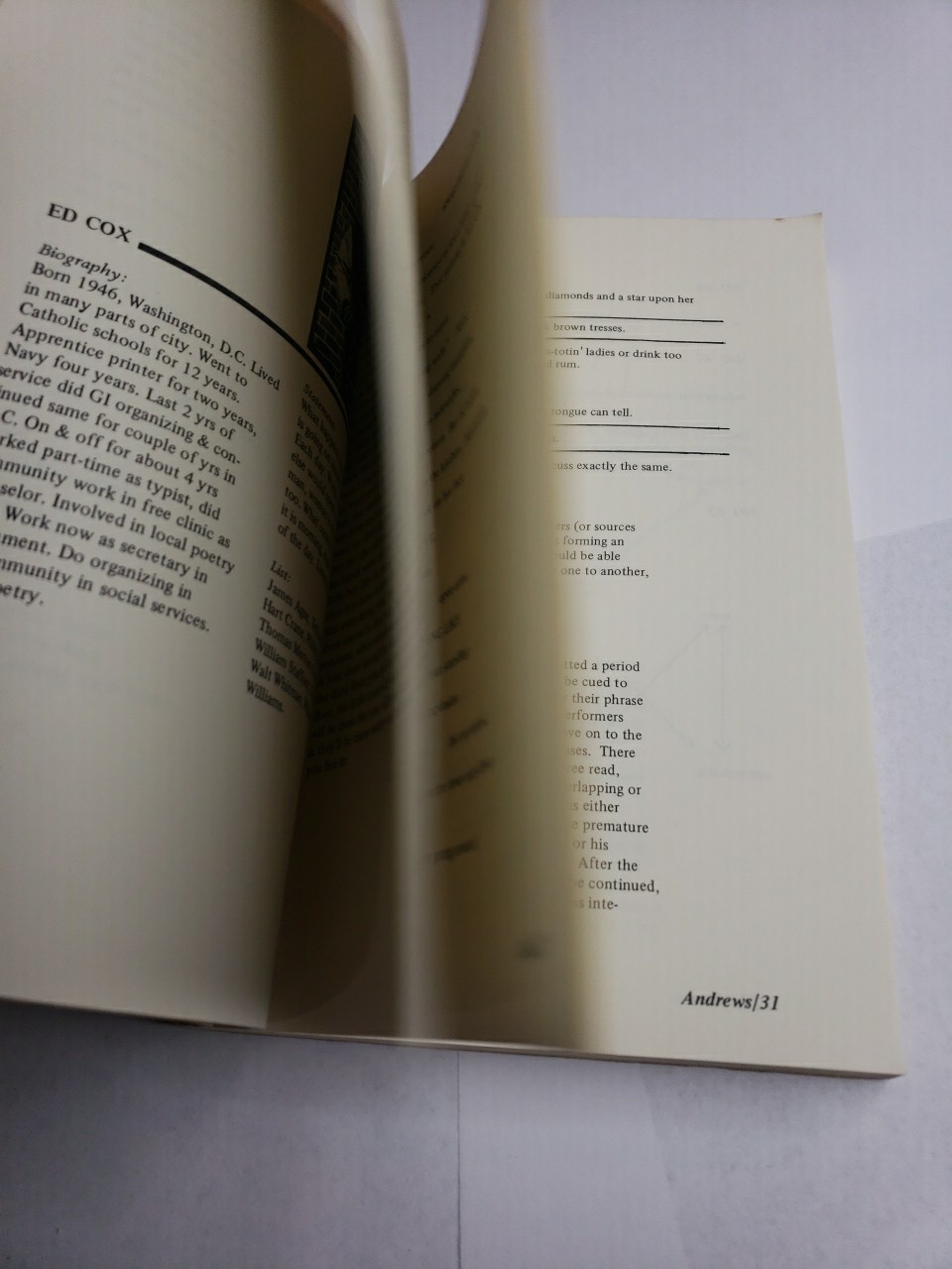 None of the Above, New Poets Of the USA, Patti Smith, Alice Notley, Joe Brainard