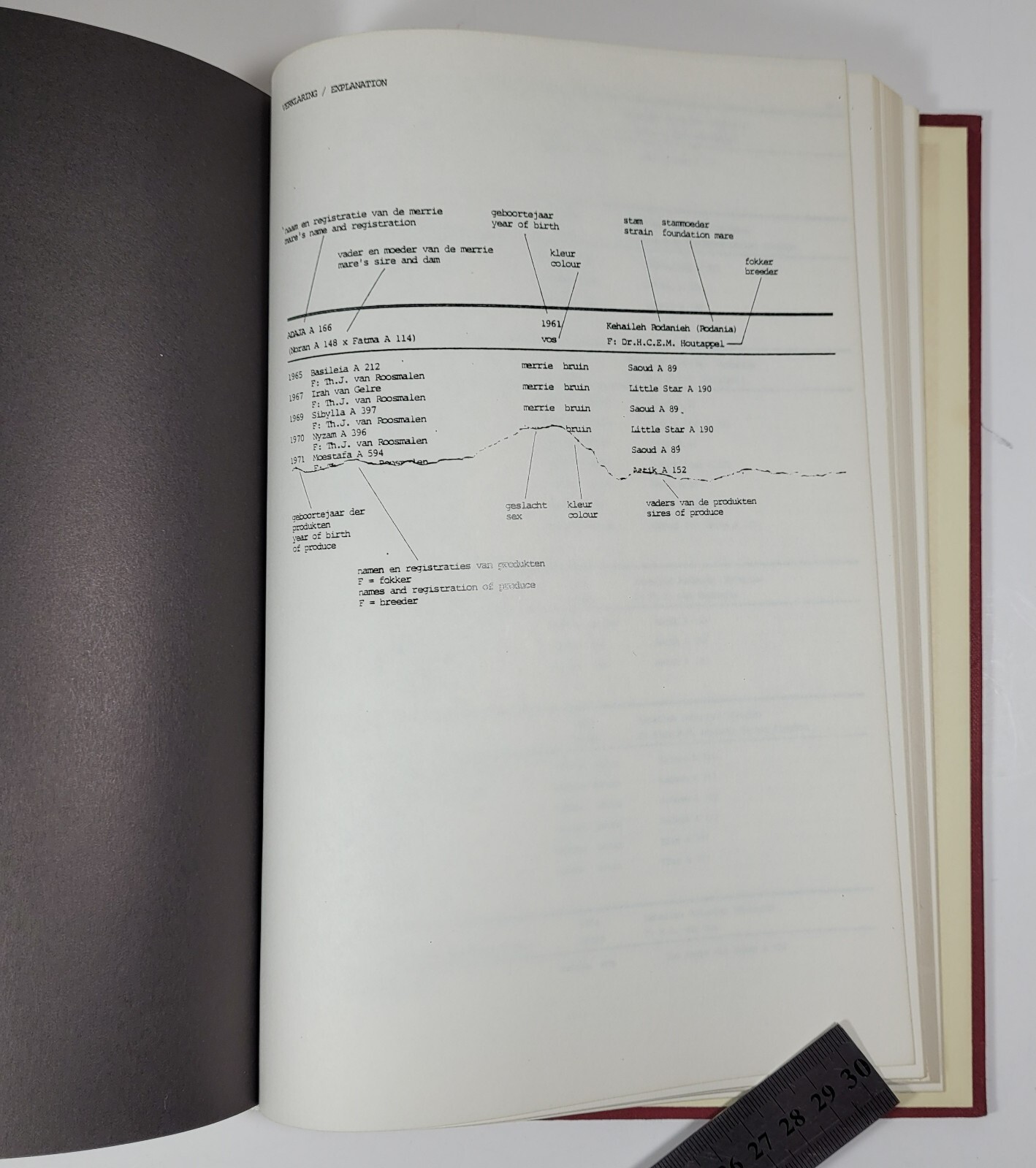 Arabian Dutch Horse Stud Book Part I 1935-1979 Stamboek Register Deel I Hardback