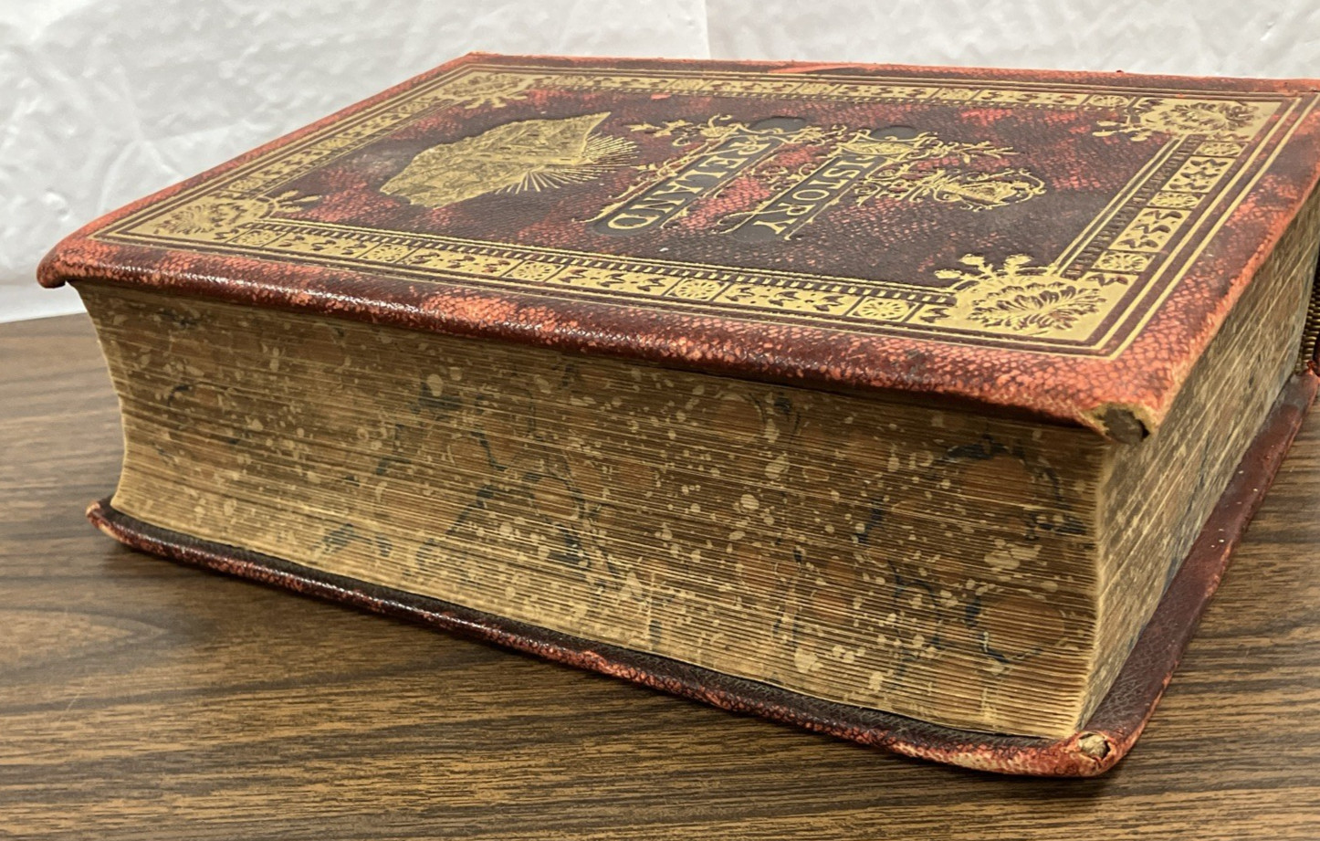 The History Of Ireland by Martin Haverty – 1885 – Embossed Leather