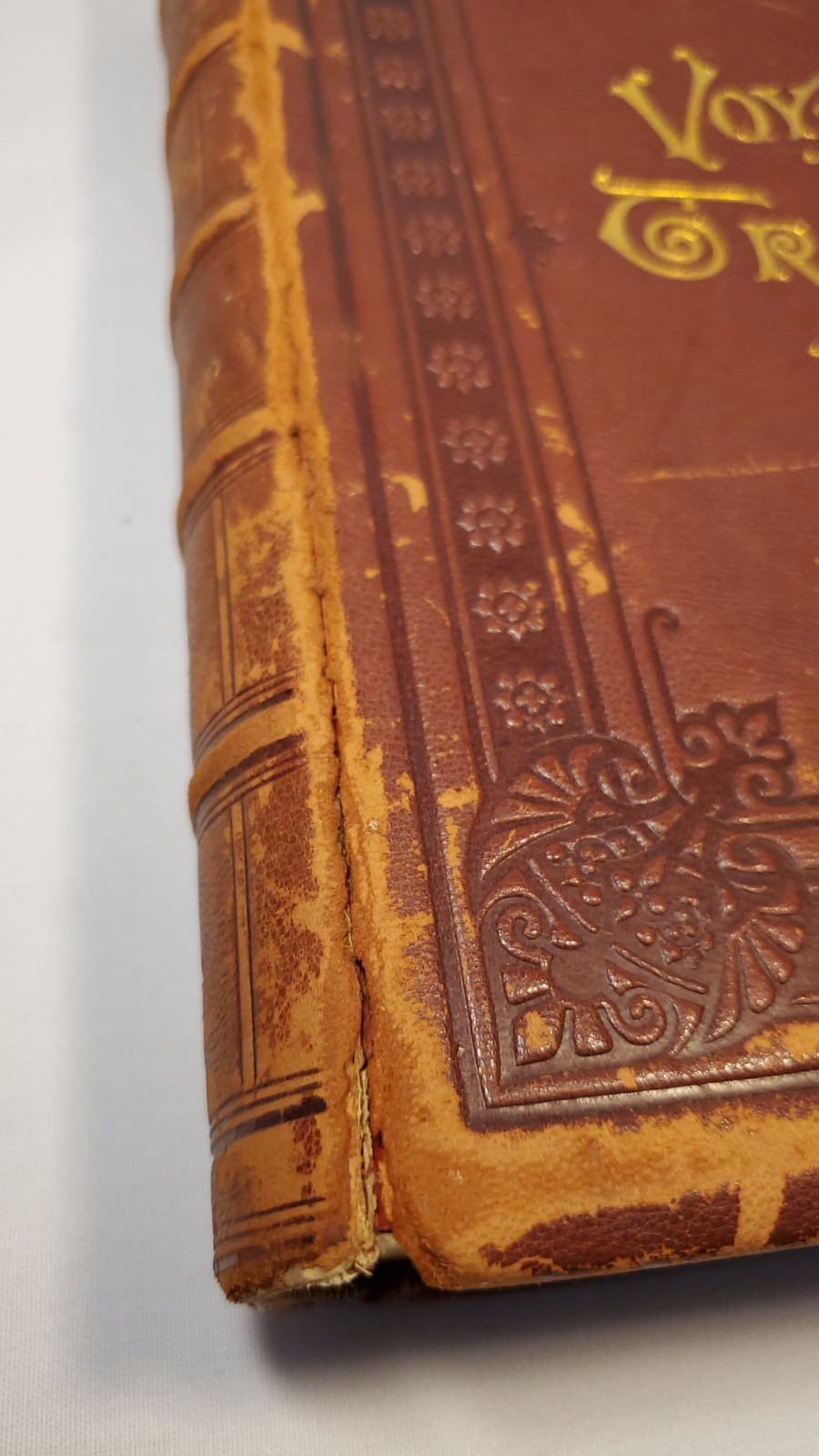Voyages & Travels L. De Colange Vols 1 & 2 1887 1st Edition FULL LEATHER, GILT