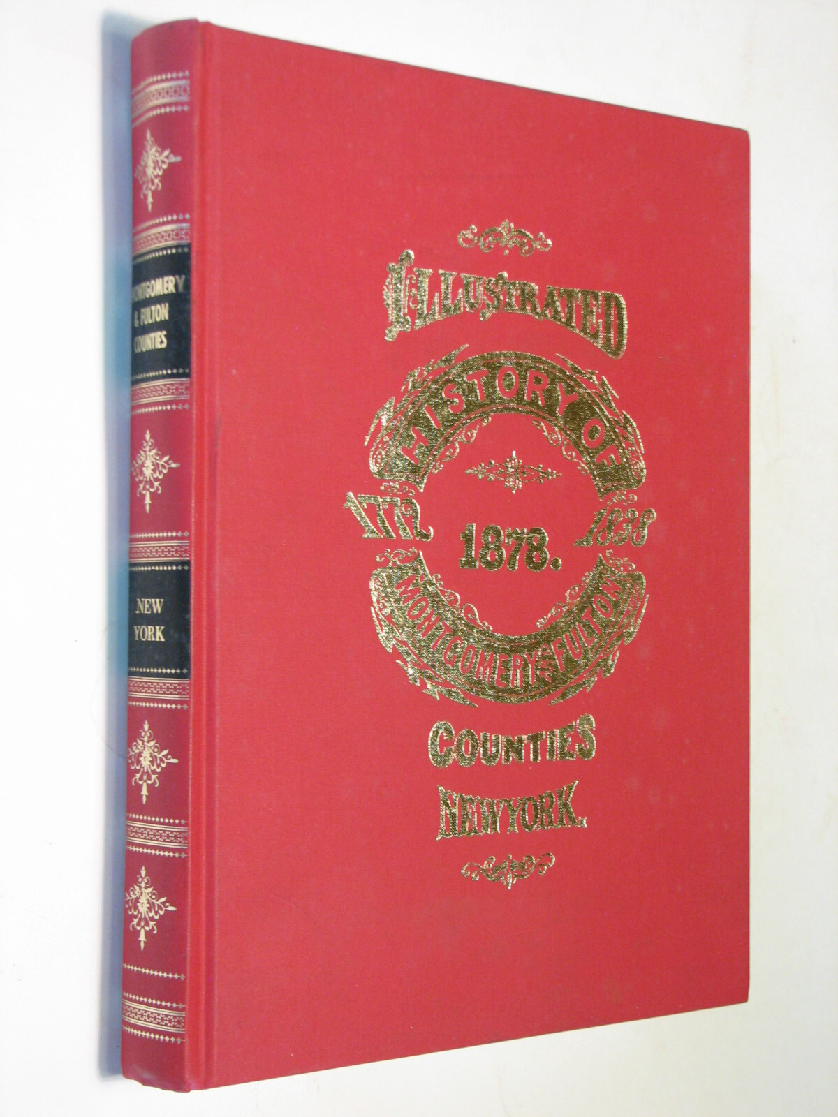 History Montgomery & Fulton Counties New York NY 1878 reprint Fonda Johnstown