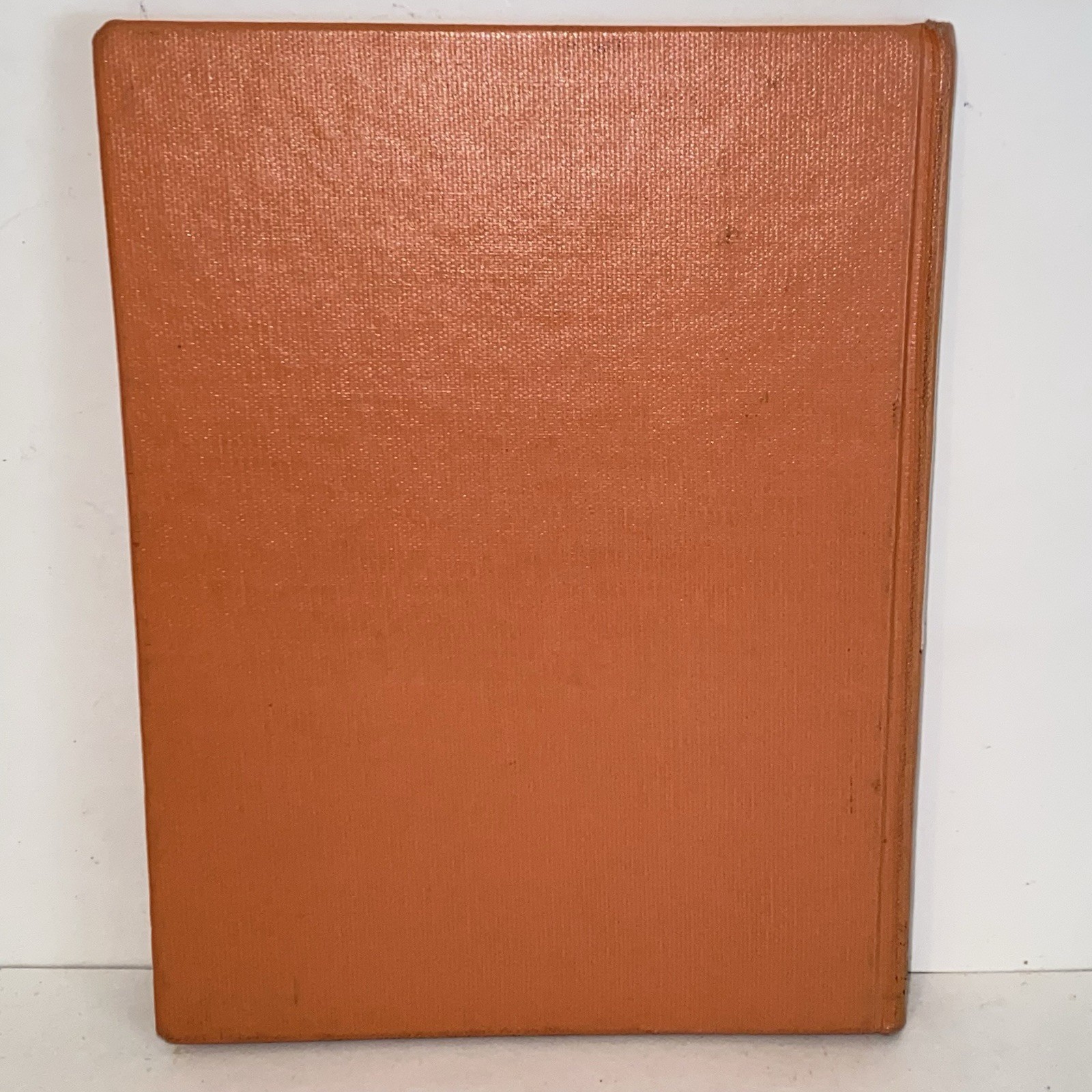 Vintage 1966 Nicky’s Sister by Barbara Brenner 1st Edition Hardcover