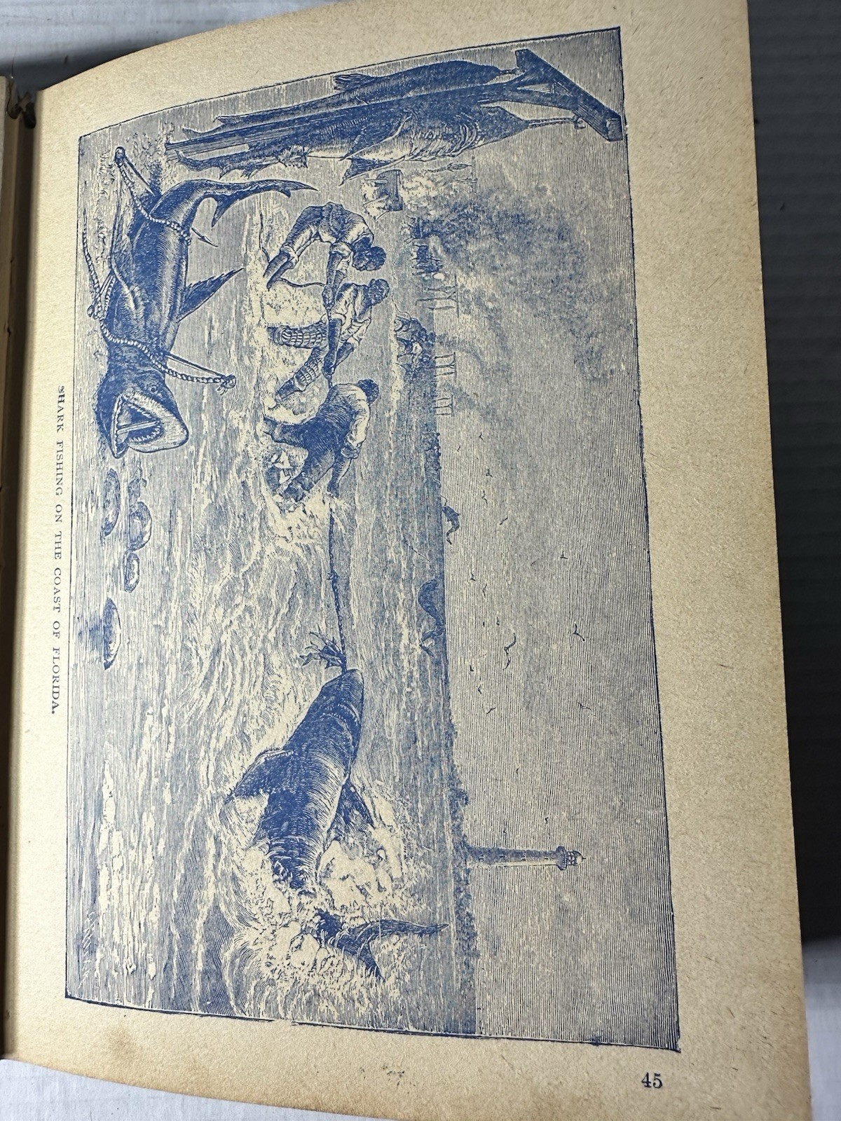 Vintage The King Of The Circus 1902 Book Unknown Publisher And Author 224 Pages