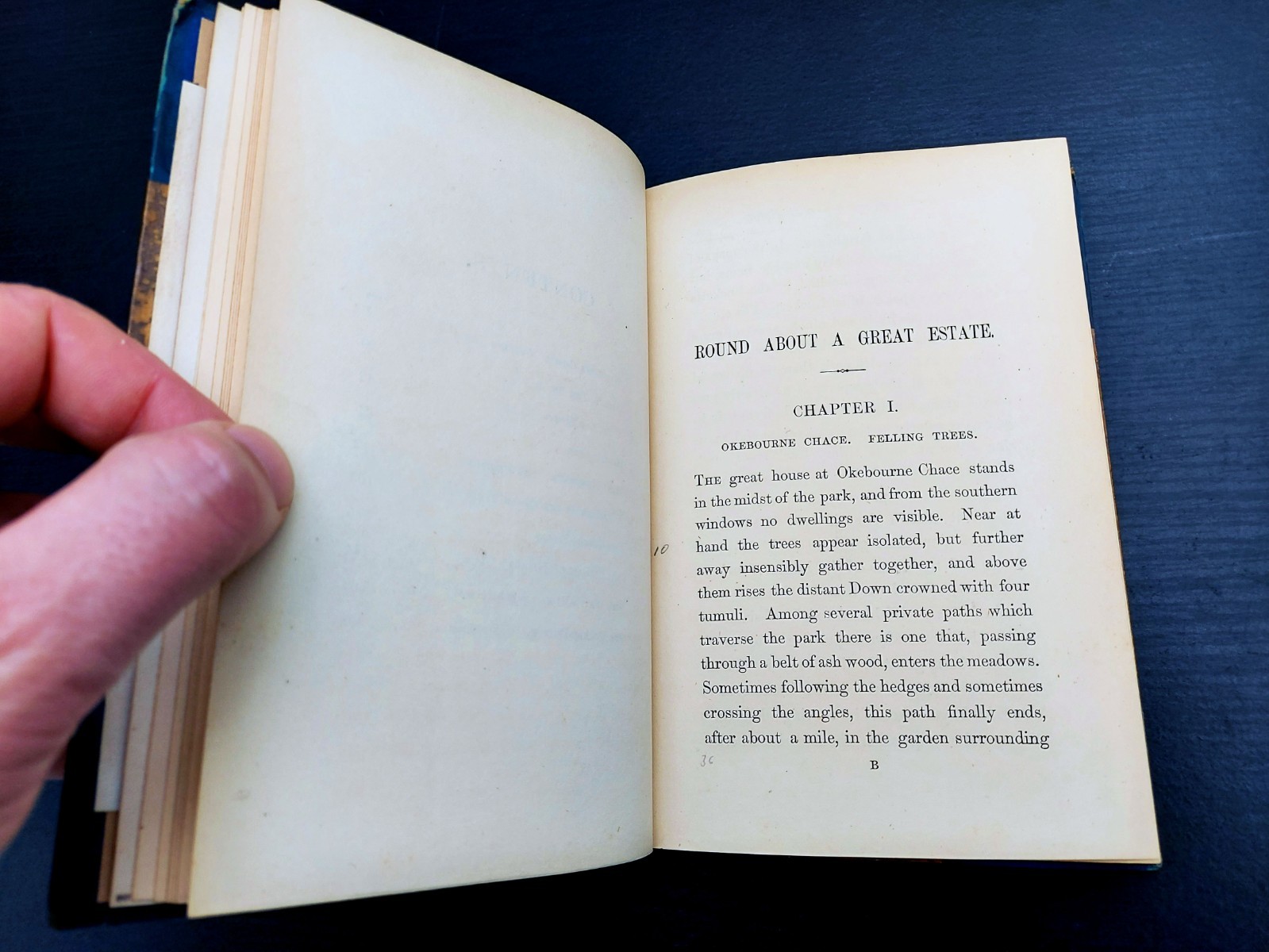 1880 – 1st Ed. – Round About a Great Estate by Richard Jefferies – Fine binding