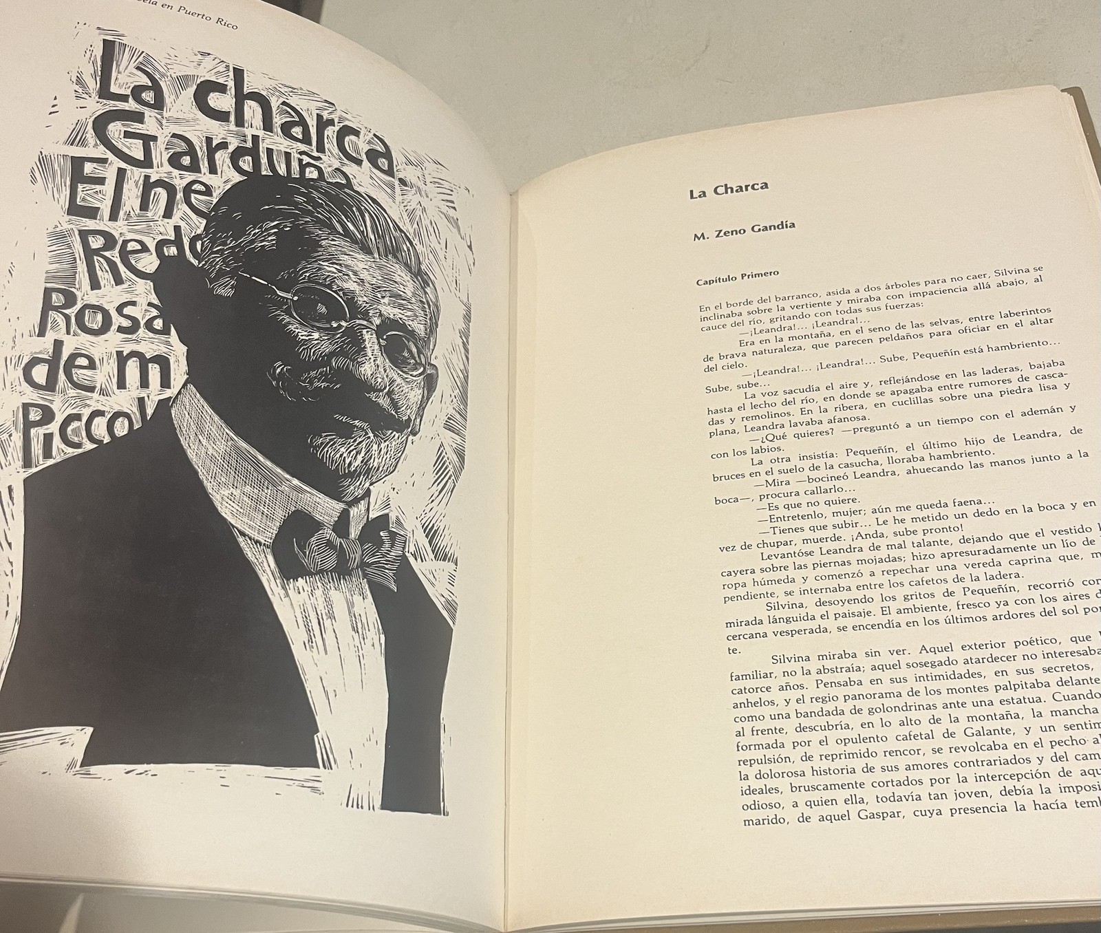 La gran enciclopedia de Puerto Rico. Tomo 5: La novela puertorriqueña desde su..