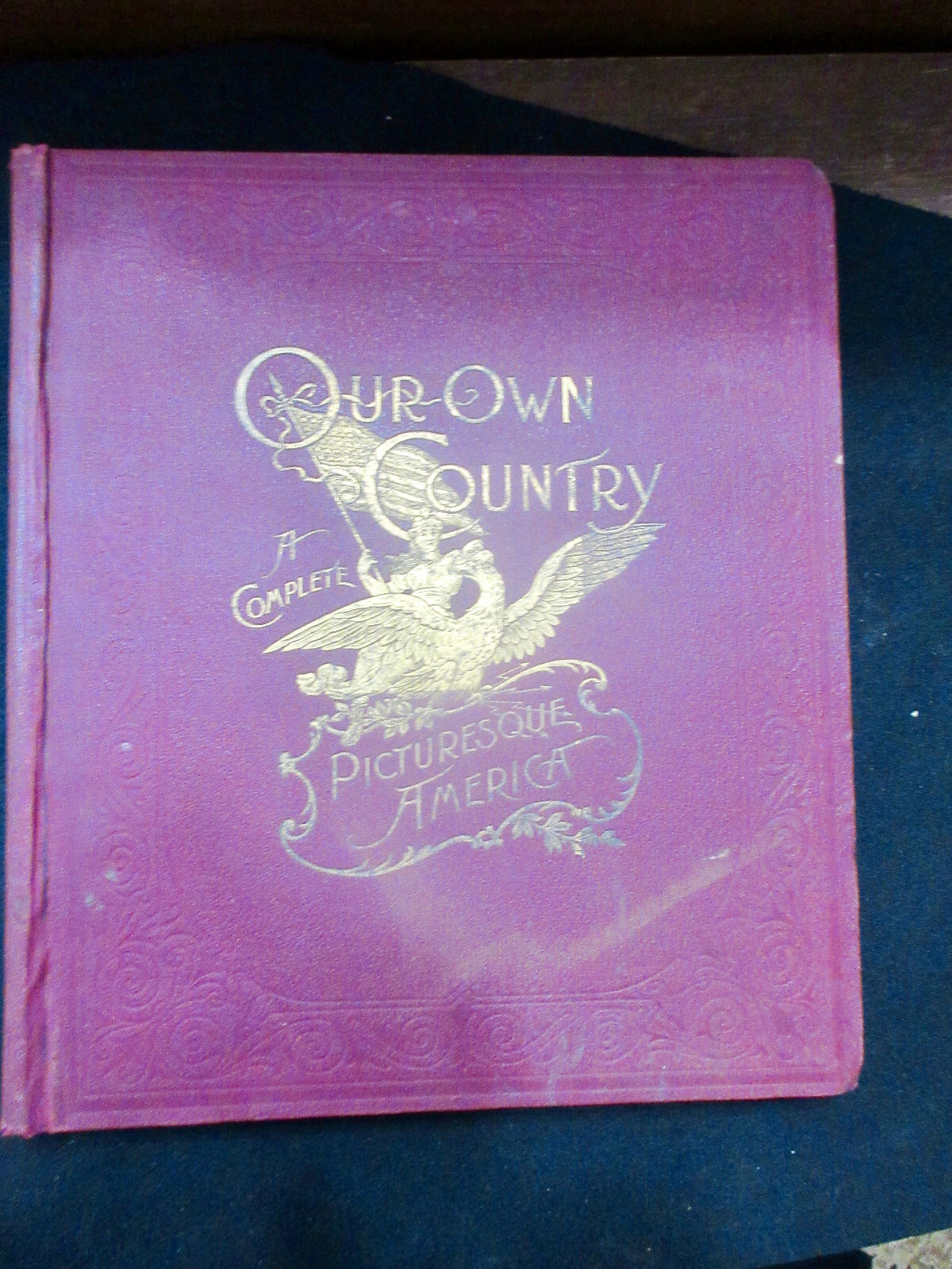 1894 A Complete Picturesque America 320pp NATIVE AMERICAN PHOTOS THE UPPER MISS