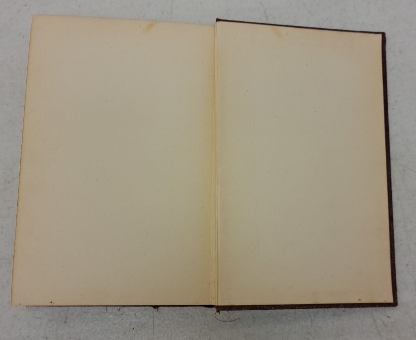 Antique Printing, The Pathfinder, J Fenimore Cooper Lupton Publishing Co #2.5.16
