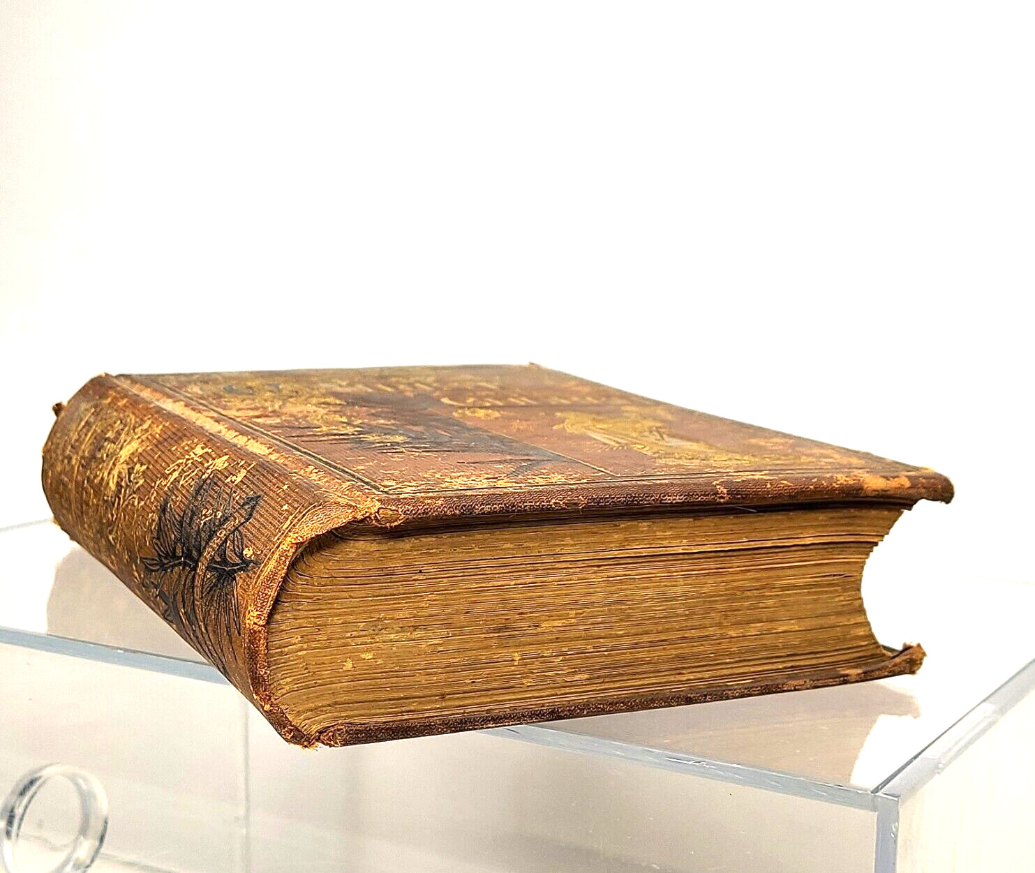 Christ in His Church History of the Catholic Church 1881 Benziger Bros. Antique