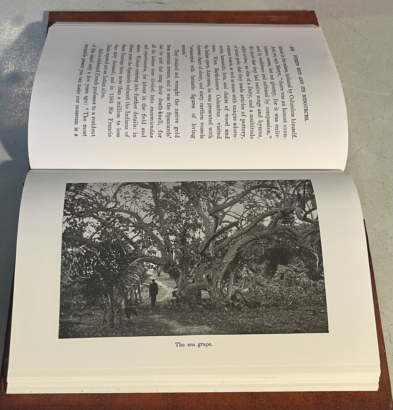 Puerto rico and its Resources 1899 by Frederick A. Ober