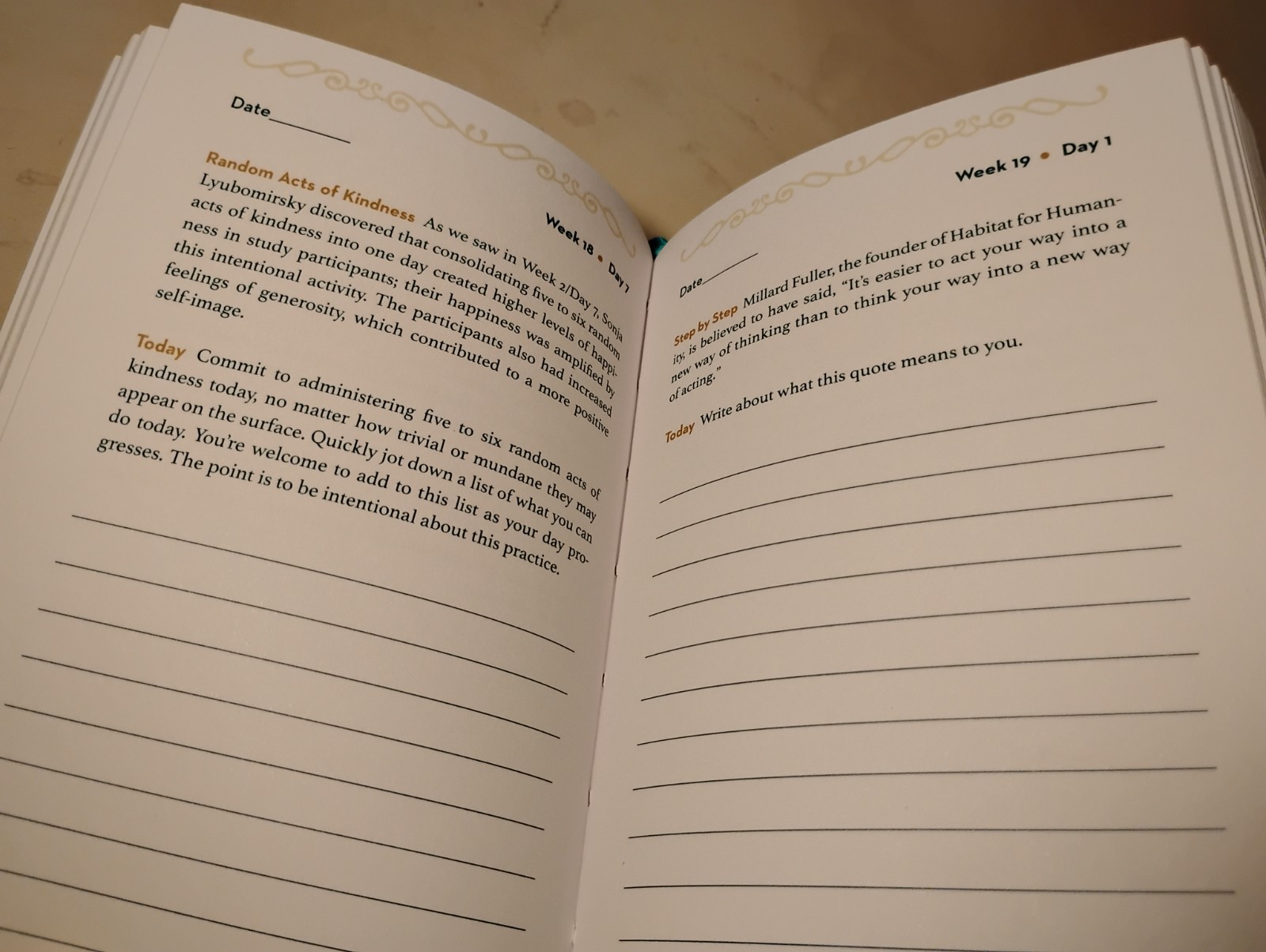 RESILIENCY JOURNAL Maria Gamb Self-Help Daily Prompts Hardcover Gilded Edges