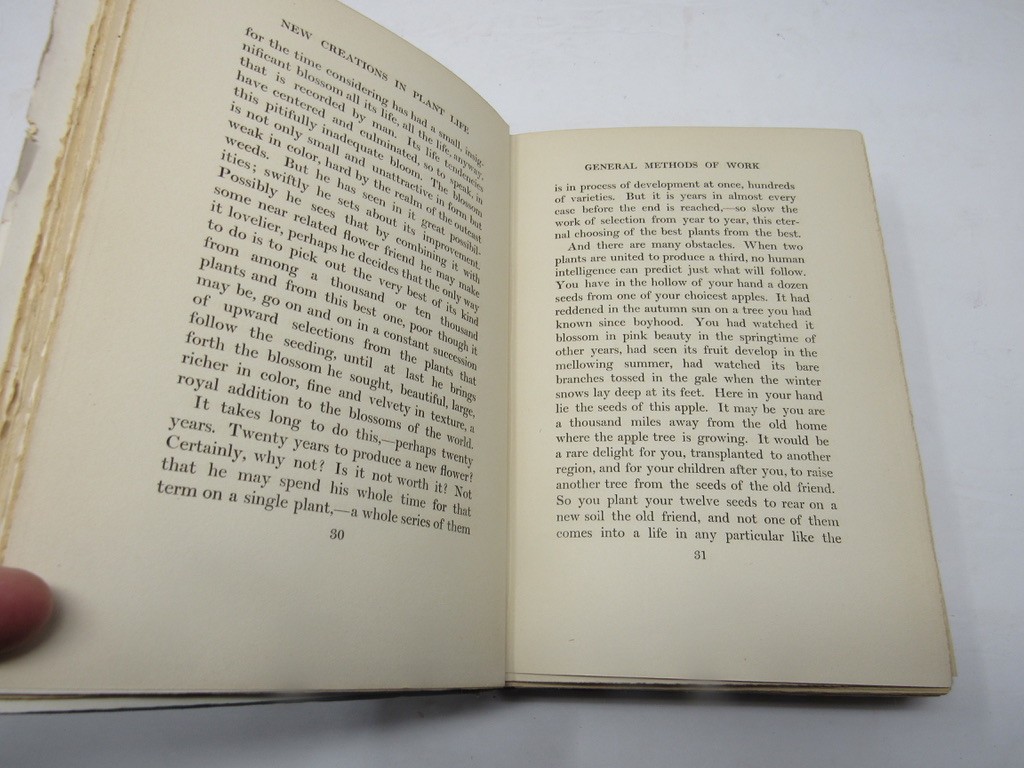 New Creation in Plant Life 1905 Luther Burbank Life & Works Botany Hoticulture