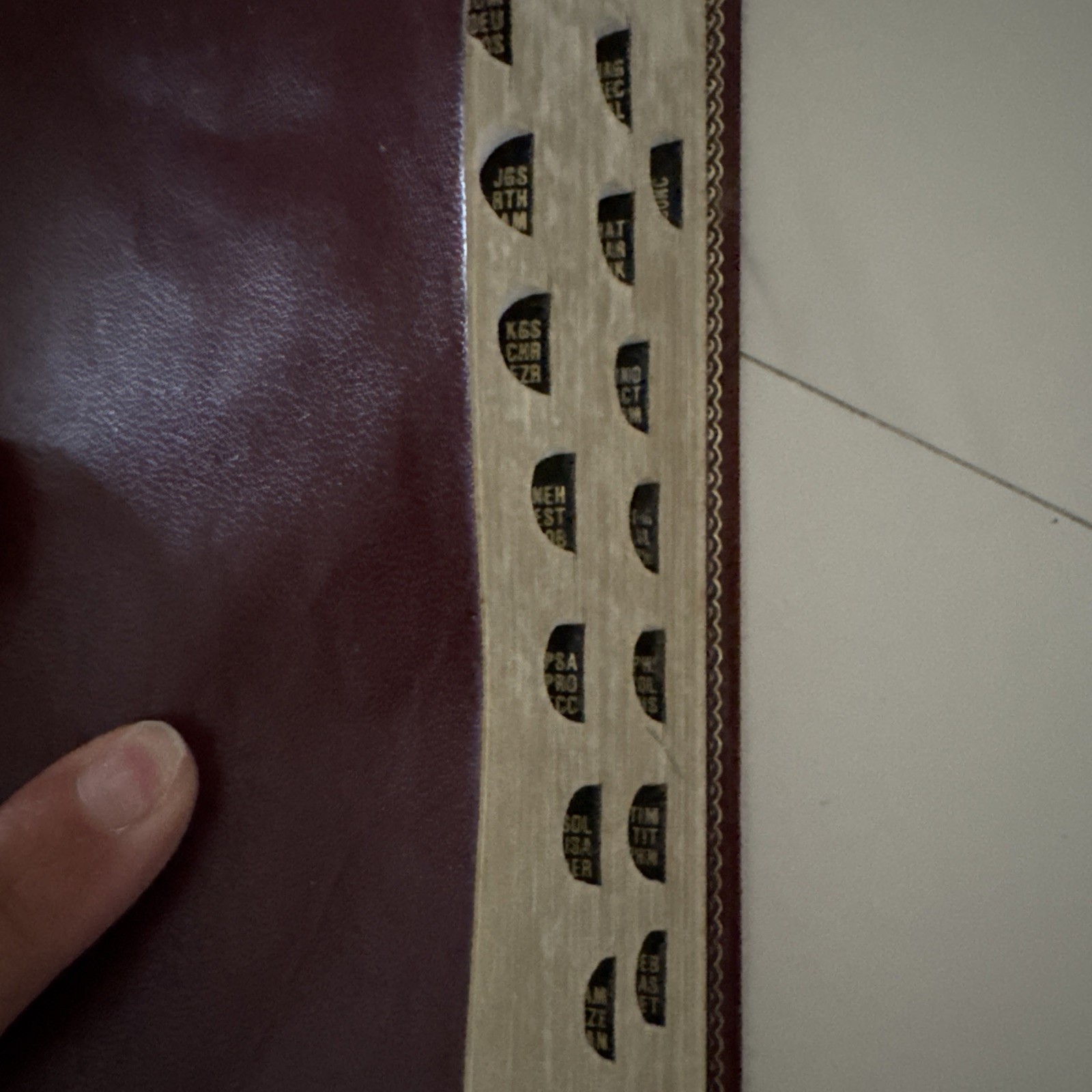 Holy Bible Red Letter Edition Concordance Wine Genuine bonded Leather 900CBG