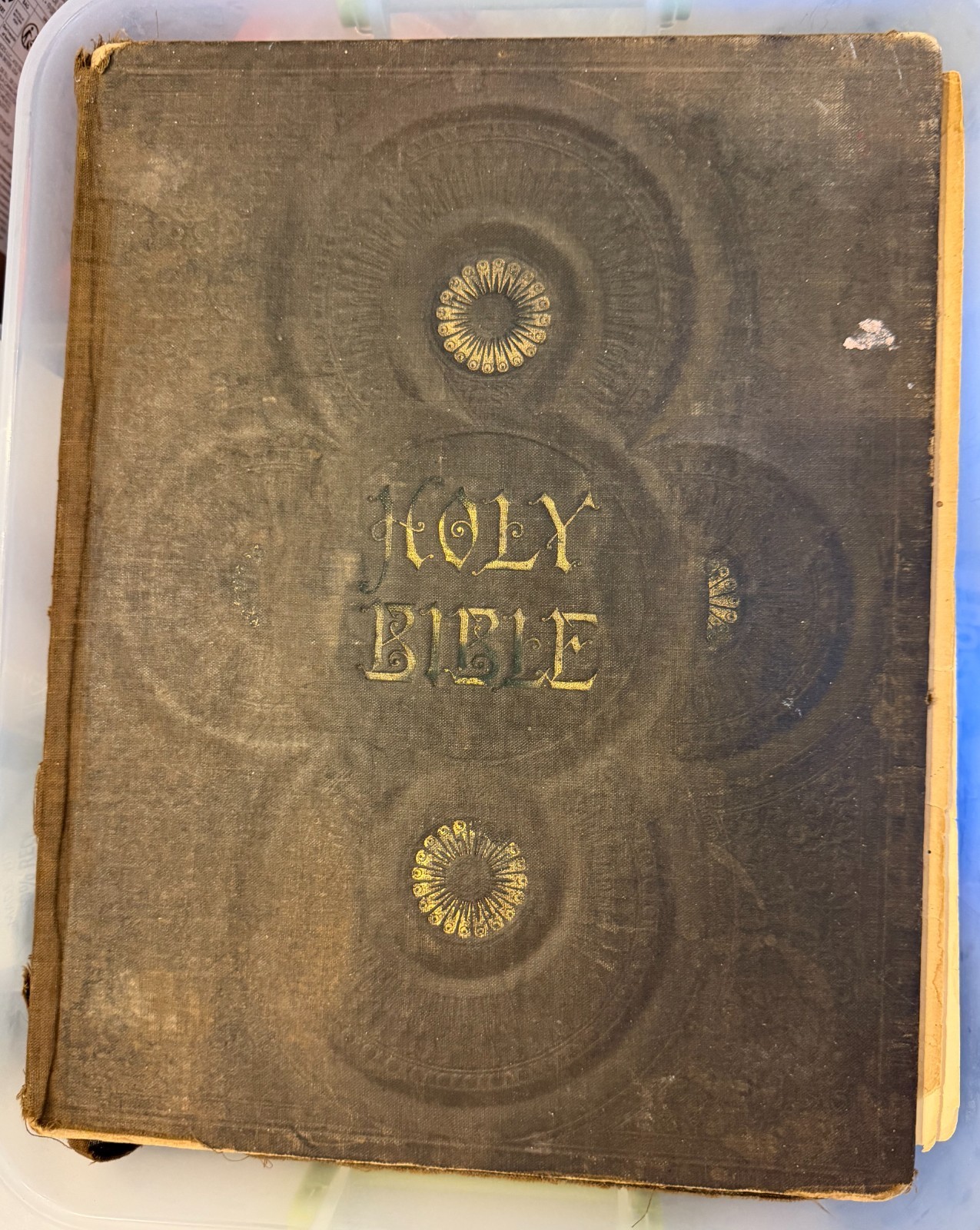 1890s Holy Bible self pronouncing edition leather cover KJV Red Letter reference