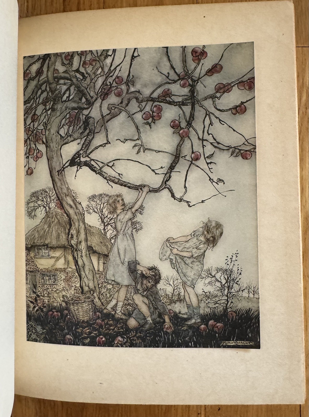 Fine Leather Binding Arthur Rackham A Dish of Apples Color Plates 1921 Book