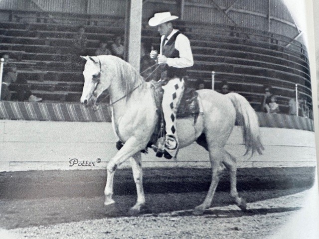 Arabian Horse Yearbook 1967 IAHA Vol XV Arabian Horse Books / Memorabilia
