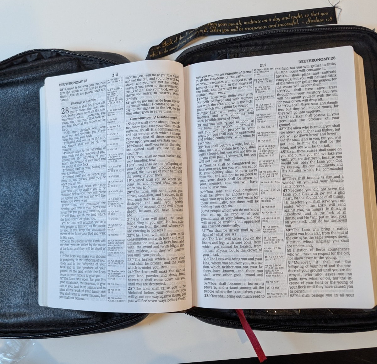 Holy Bible New American Standard Version Update Edition with Faux Leather Cover