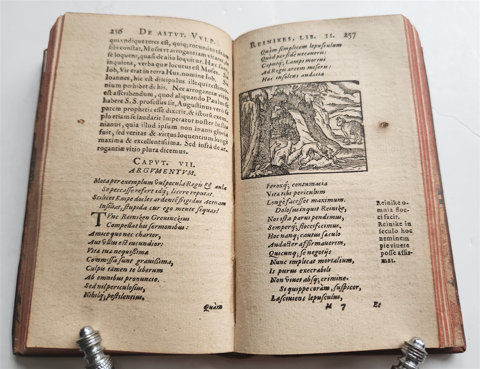1595 REYNARD the FOX in LATIN illustrated by Jost Amman & Virgil Solis ANTIQUE